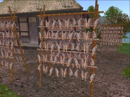 Freshly caught fish drying on a rack in the village